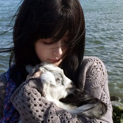 猫和老鼠:回到奥兹